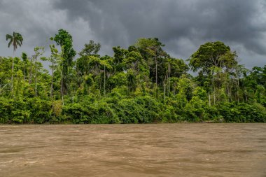 Amazon Nehri ve ormanı üzerinde sağanak yağış var. Fırtınanın ortasında suda yüzen küçük bir tekne var.