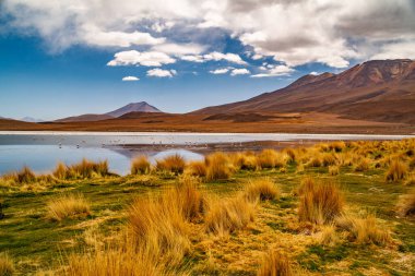 Birkaç yüz James ve Şili flamingosuyla Panorama And Dağları 'ndaki Canapa Lagoon' da Bolivya 'daki Uyuni tuz düzlüğü yakınlarında..