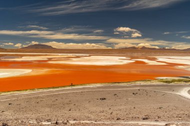 Laguna Colorada, Bolivya. Kızıl Göl, Bolivya 'da Güneşli Gün.