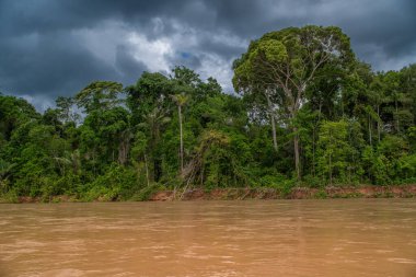 Amazon Nehri ve ormanı üzerinde sağanak yağış var. Fırtınanın ortasında suda yüzen küçük bir tekne var.