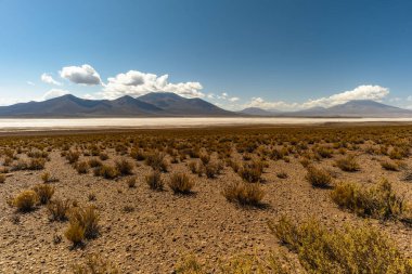 Uyuni - San Pedro de Atacama