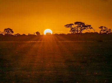 Güzel gün batımı Botswana Afrika