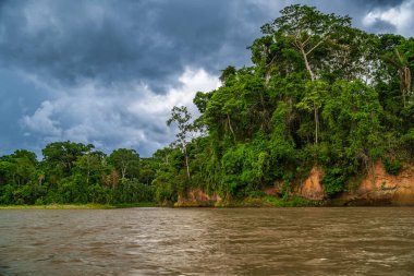 Amazon Nehri ve ormanı üzerinde sağanak yağış var. Fırtınanın ortasında suda yüzen küçük bir tekne var.