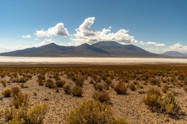 Uyuni - San Pedro de Atacama