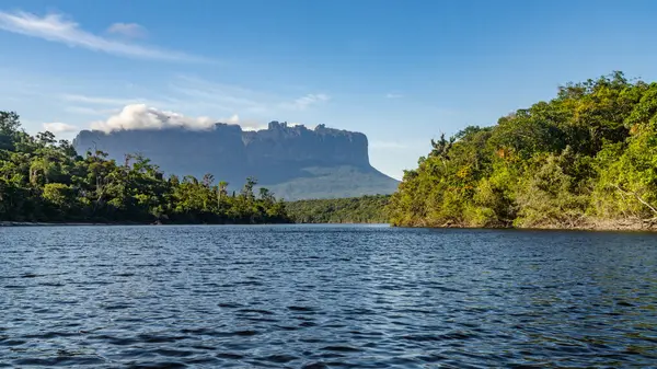 Venezuela 'daki Canaima Ulusal Parkı Dağları ve Kanyonlarının Manzarası
