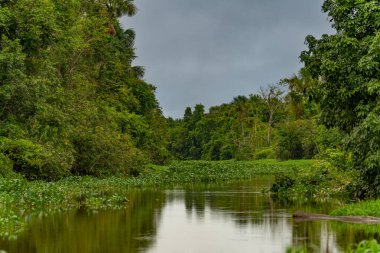 Amazon Nehri ve ormanı üzerinde sağanak yağış var. Fırtınanın ortasında suda yüzen küçük bir tekne var.