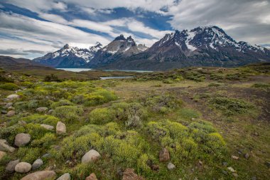 Torres del Paine Ulusal Parkı - Patagonya - Şili. Güney Şili, Güney Amerika 'daki Patagonya Torres del Paine Ulusal Parkı' nda gün doğumu