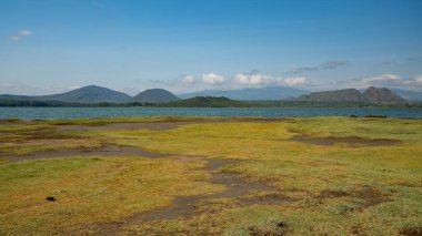 Gün batımında güzel Afrika manzarası (Kenya Afrika)