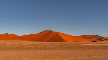 Namib Çölü 'nde kum tepeleri ve Namibya' nın ön planında ağaçlar.