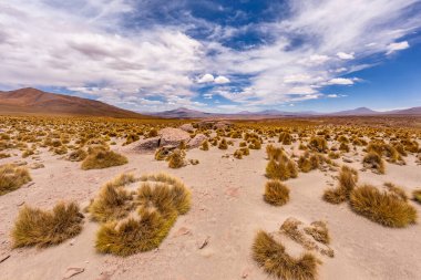 Uyuni - San Pedro de Atacama Bolivya.