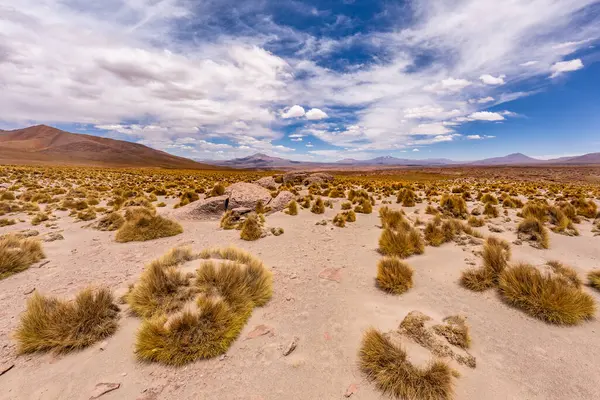 Uyuni - San Pedro de Atacama Bolivya.