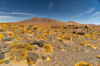 Uyuni - San Pedro de Atacama Bolivya.