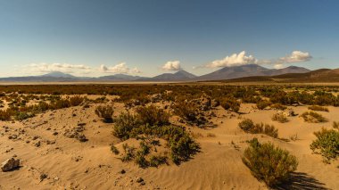Uyuni - San Pedro de Atacama Bolivya.
