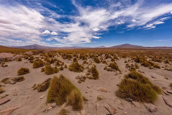 Uyuni - San Pedro de Atacama Bolivya.