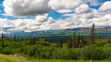Yüzyıllar boyunca buzullar tarafından şekillendirilmiş bir ulusal park ve doğa rezervi. Kuzey Amerika 'nın en yüksek dağı Denali (eski adıyla McKinley Dağı) deniz seviyesinden 6,190 metre yükseklikte yer almaktadır..