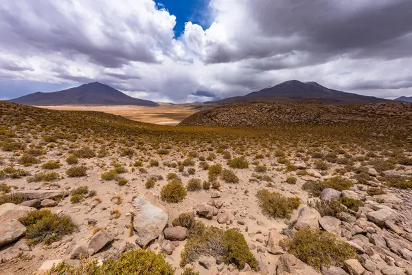 Uyuni - San Pedro de Atacama Bolivya.