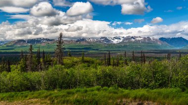 Yüzyıllar boyunca buzullar tarafından şekillendirilmiş bir ulusal park ve doğa rezervi. Kuzey Amerika 'nın en yüksek dağı Denali (eski adıyla McKinley Dağı) deniz seviyesinden 6,190 metre yükseklikte yer almaktadır..
