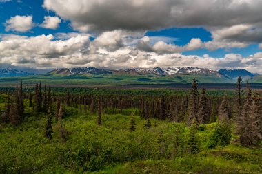 Yüzyıllar boyunca buzullar tarafından şekillendirilmiş bir ulusal park ve doğa rezervi. Kuzey Amerika 'nın en yüksek dağı Denali (eski adıyla McKinley Dağı) deniz seviyesinden 6,190 metre yükseklikte yer almaktadır..