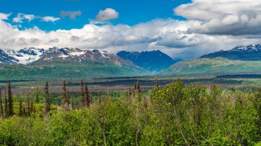 Yüzyıllar boyunca buzullar tarafından şekillendirilmiş bir ulusal park ve doğa rezervi. Kuzey Amerika 'nın en yüksek dağı Denali (eski adıyla McKinley Dağı) deniz seviyesinden 6,190 metre yükseklikte yer almaktadır..