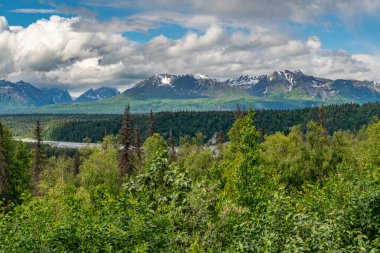 Yüzyıllar boyunca buzullar tarafından şekillendirilmiş bir ulusal park ve doğa rezervi. Kuzey Amerika 'nın en yüksek dağı Denali (eski adıyla McKinley Dağı) deniz seviyesinden 6,190 metre yükseklikte yer almaktadır..