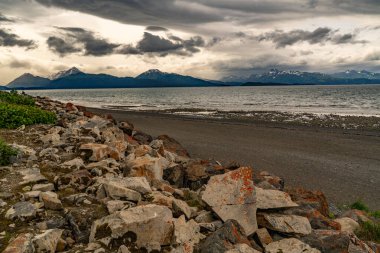 Alaska dağları, buzullar, orman, Homer 'ın manzarası