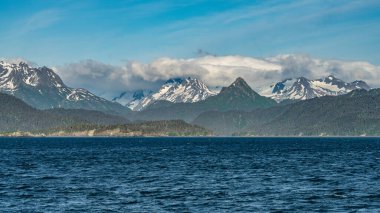 Alaska dağları, buzullar, orman, Homer 'ın manzarası