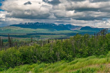 Yüzyıllar boyunca buzullar tarafından şekillendirilmiş bir ulusal park ve doğa rezervi. Kuzey Amerika 'nın en yüksek dağı Denali (eski adıyla McKinley Dağı) deniz seviyesinden 6,190 metre yükseklikte yer almaktadır..