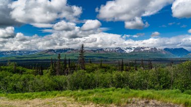 Yüzyıllar boyunca buzullar tarafından şekillendirilmiş bir ulusal park ve doğa rezervi. Kuzey Amerika 'nın en yüksek dağı Denali (eski adıyla McKinley Dağı) deniz seviyesinden 6,190 metre yükseklikte yer almaktadır..