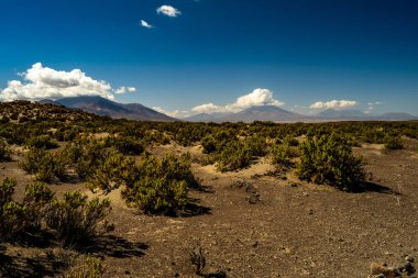 Uyuni - San Pedro de Atacama