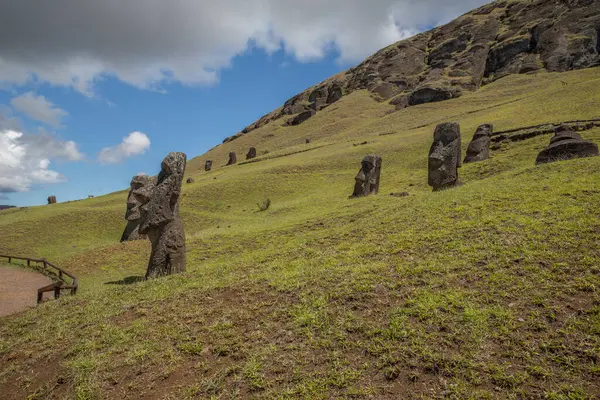 Eski Moais grubu Rapa Nui Ulusal Parkı 'nda, Paskalya Adası' nda.