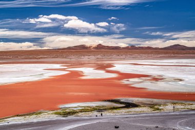 Birkaç yüz James ve Şili flamingosuyla Panorama And Dağları 'ndaki Canapa Lagoon' da Bolivya 'daki Uyuni tuz düzlüğü yakınlarında..