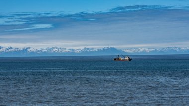 Alaska dağları, buzullar, orman, Homer 'ın manzarası
