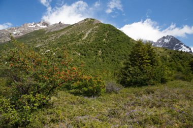 Torres del Paine Ulusal Parkı - Patagonya - Şili. Güney Şili, Güney Amerika 'daki Patagonya Torres del Paine Ulusal Parkı' nda gün doğumu