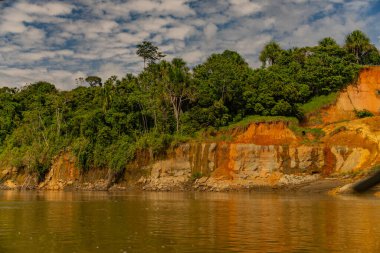 Peru nehrinden tropikal yağmur ormanı manzarası.