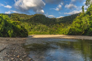 Peru nehrinden tropikal yağmur ormanı manzarası.