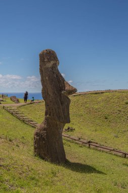 Eski Moais grubu Rapa Nui Ulusal Parkı 'nda, Paskalya Adası' nda.