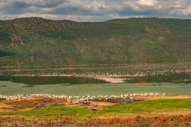 beautiful sunset over Lake Baringo with pink flamingos in the foreground