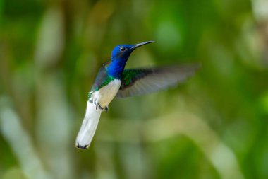 The USA Southwest Arches National Parks are located in eastern Utah, north of the city of Moab in the United States. Its area is 