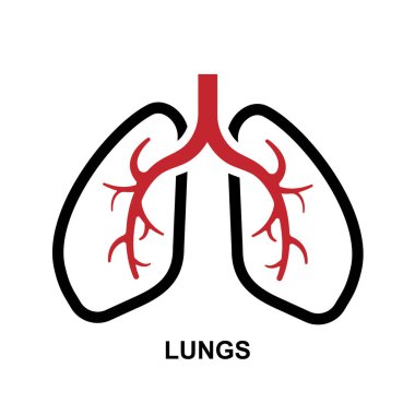 Arkaplan vektör illüstrasyonunda akciğerler simgesi izole edildi.