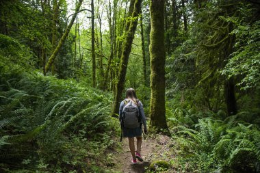 Kuzeybatı Pasifik 'teki gür ormanlık bir ormanda yürüyen tek başına bir kadın yürüyüşçü. Açık hava yaşam tarzı fotoğrafı