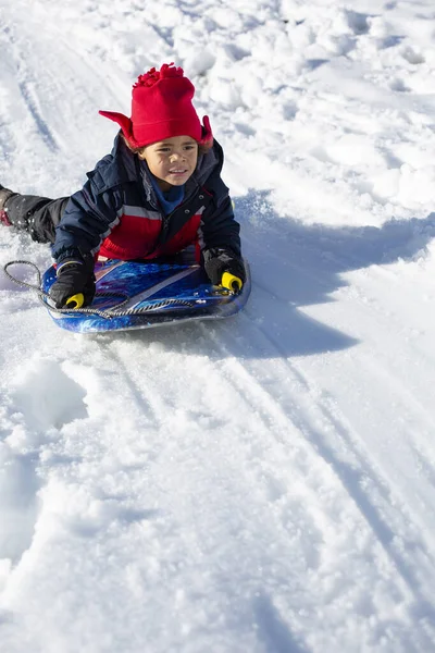 かわいいアフリカ系アメリカ人の少年が雪の日に丘の上でそりました 雪の中で冬の楽しみ そりの上の多様な子供 たくさんのコピースペース — ストック写真