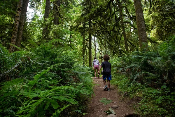 Diverse Family Walking Lush Woods Pacific Northwest Spending Day Ferns — стокове фото