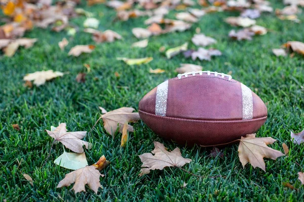 Fall season football background image. The perfect symbols of Autumn, fallen leaves and American Football. The ball sitting on the grass on a crisp fall day