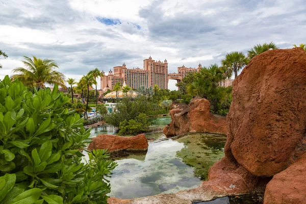 パラダイスラグーンとロイヤルコーブリーフタワーを囲む熱帯の風景と敷地の風景写真パラダイス島 バハマのアトランティスリゾートとホテル ロイヤリティフリーのストック画像