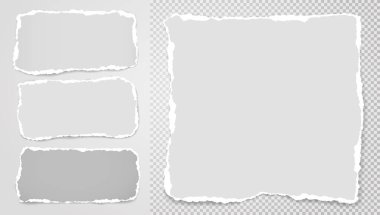 Yırtık beyaz notlar, boş ve gri kare arkaplana yapıştırılmış defter kağıtları. Vektör illüstrasyonu.