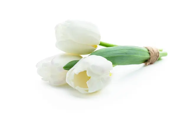 Bunch White Tulip Flowers Isolated White Stock Photo