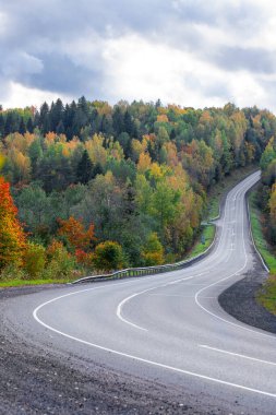 Güzel sonbahar manzarasında otoyol 