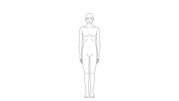 Egy Ember Frontról Illusztráció Videó Férfi Női Nem Nélküli Testek — Stock videók