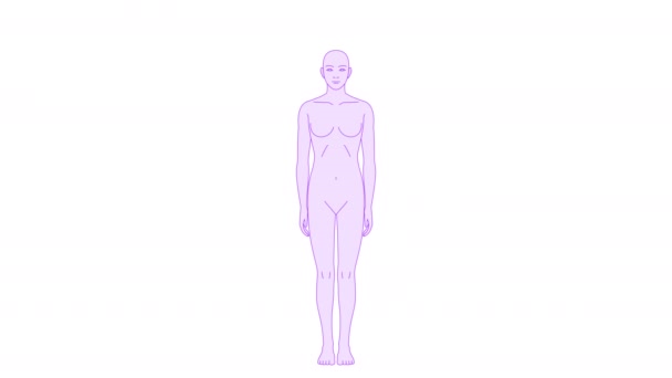 Humano Visto Frente Ilustração Vídeo Mudança Homens Mulheres Corpos Sem — Vídeo de Stock