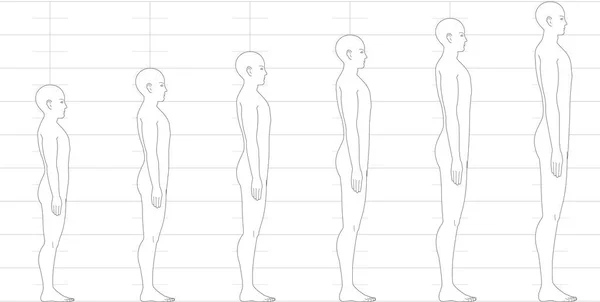 Människans Höjdbalans Sedd Från Sidan Illustration Manlig Figur Med Huvuden — Stock vektor
